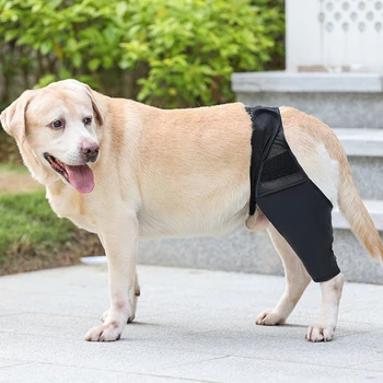 Zavoj za displazija psi Наколенник za pse, izrađene od prozračna i meka tkiva, наколенник za pse pruža vrhunsku podršku i